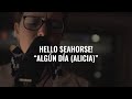 Hello seahorse  algn da alicia  el ganzo session