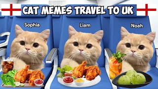 Cat Memes Travel To UK