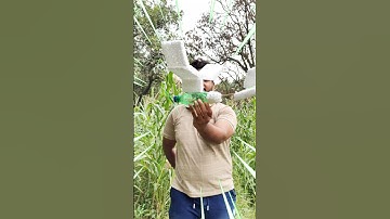 Airoplane From Thermocol And Bottles 😱 ।। Making Airplane #shorts #plane #airplane #making