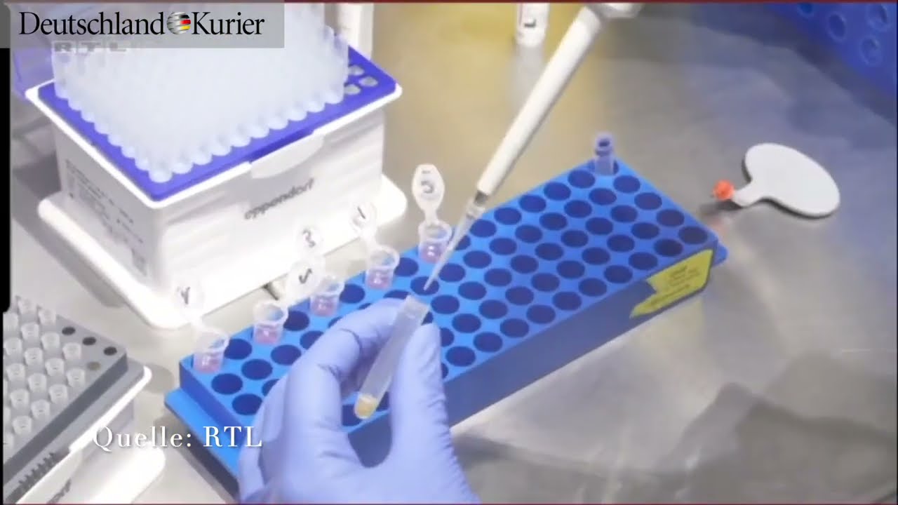 Studie: PCR-Tests können Infektiosität nicht sicher nachweisen!