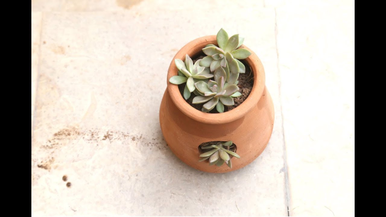 Clay Birdhouse Planter(Urdu,Hindi) YouTube