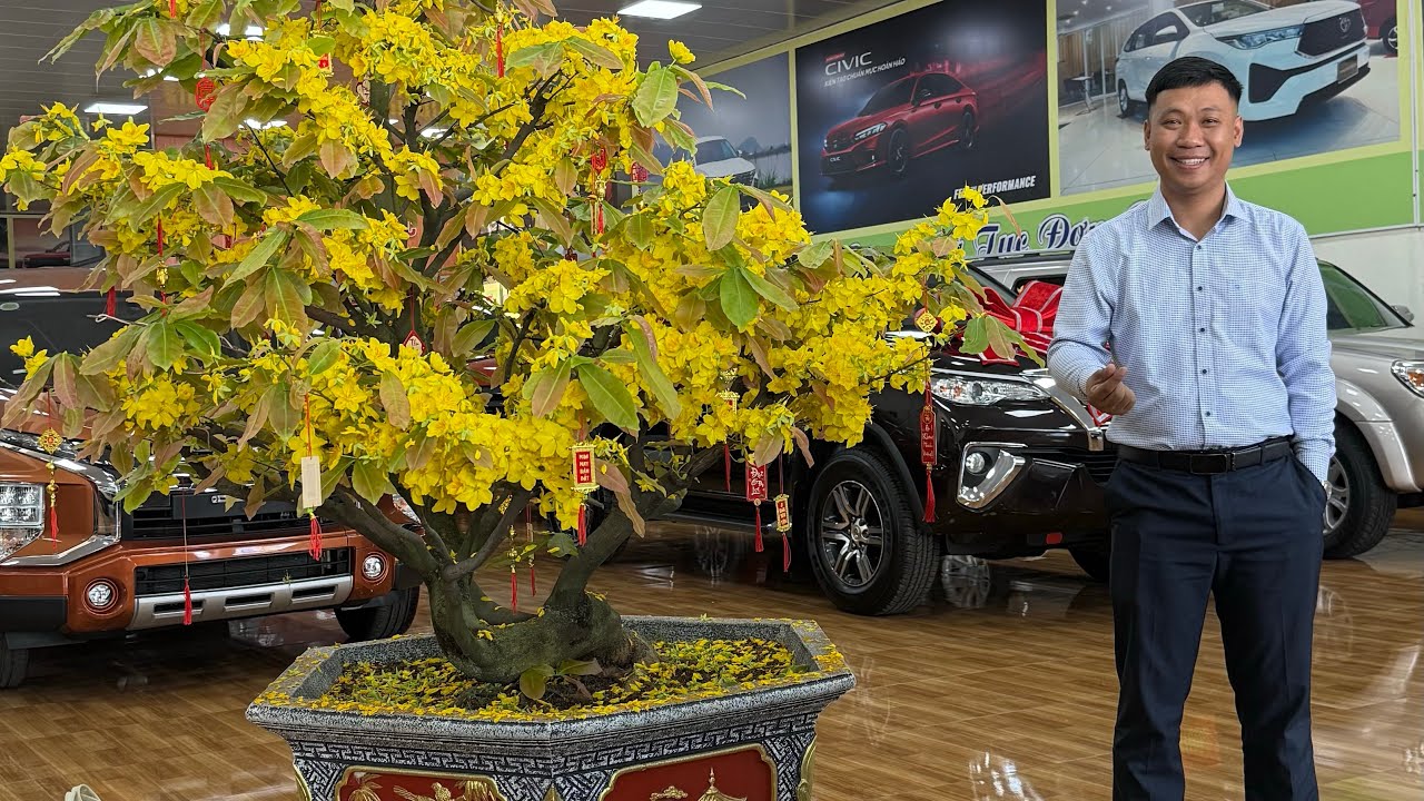 Đầu xuân nhận lì xì 2026, báo giá nhanh các xe còn sẵn tại cửa hàng, LH: 0977800362 Em Dương