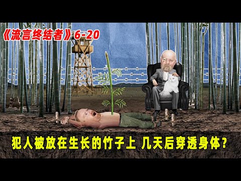 流言终结者：最残忍酷刑，犯人被放在竹子之上，身体被生长的竹子直接刺穿？（S6E20）