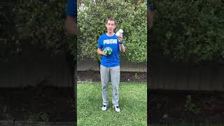 Term 2, Week 5 Catching with Mr Brehaut - Introduction