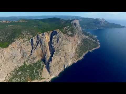 Социальная реклама - Можжевельник высокий
