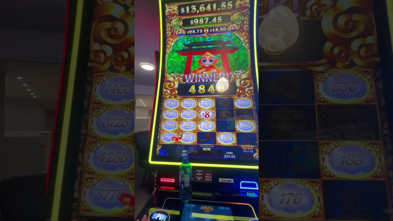 grand pasha hotel casino Monkey Legends Imperial 88 slots casino jackpot wyoming