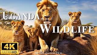Uganda 4k wildlife relaxing movie with soothing music