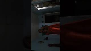 Download Lagu LAGU GOYANG DUMANG Download Lagu LAGU GOYANG DUMANG