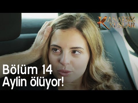 Aylin ölüyor - Kanatsız Kuşlar 14. Bölüm