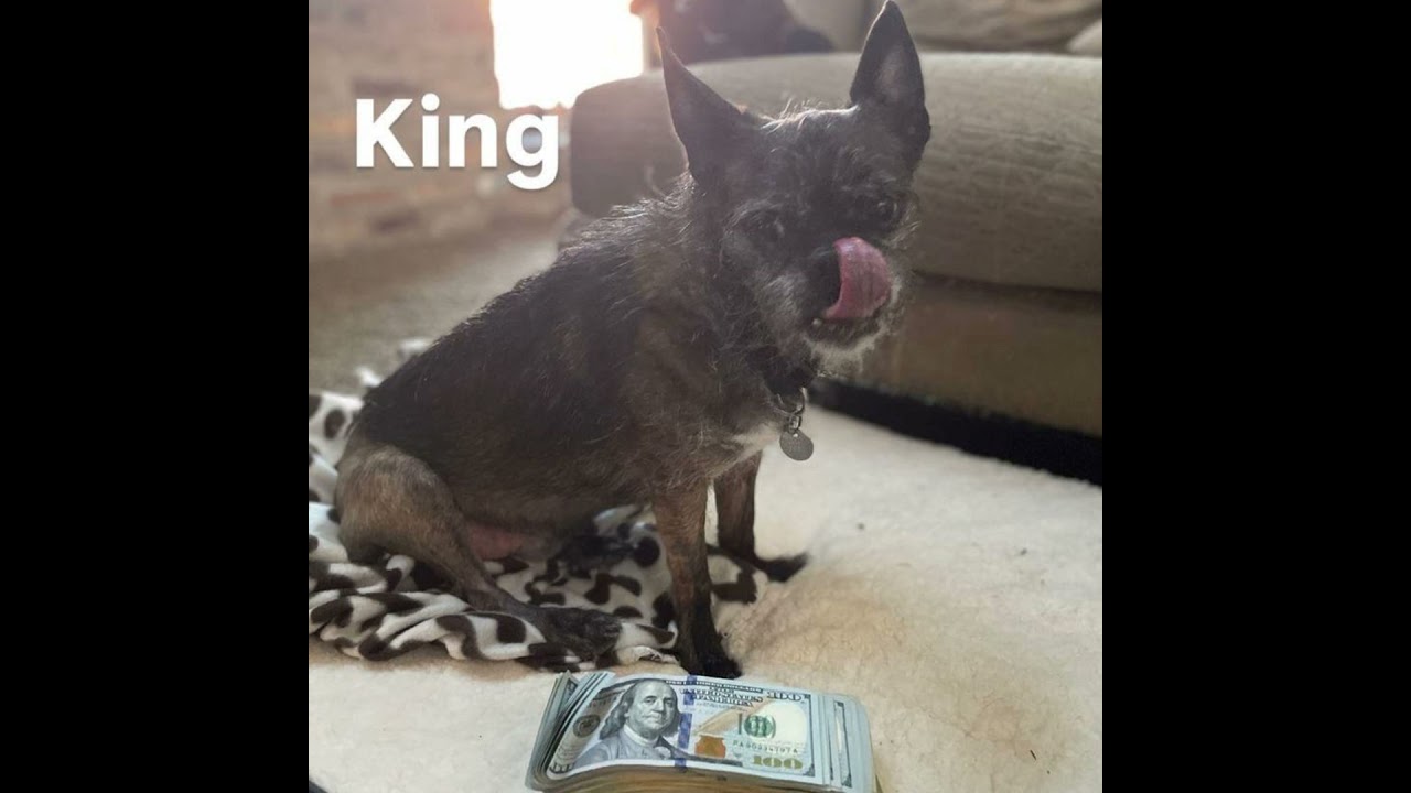 Problematic Dragon [King of Gate Preview, Dragon Gate, AMC, RIP Larry]