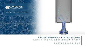 Simulating a HYLON Burner With a Lifted Flame