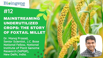 Mainstreaming underutilized crops: The story of foxtail millet