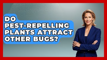 Do Pest-repelling Plants Attract Other Bugs? - Insects and Invaders