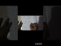 day 1 of drawing challenge: tulip 🌷 #art #video #challenge #drawing