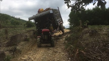 Hai xe công nông độ rất khỏe chở củi xà cừ lên dốc đứng cực chất.Agricultural vehicles uphill
