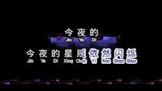 林淑容  《 昨夜星辰 》  zuo ye xing chen