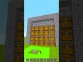 Cose che non hai mai visto su Minecraft!