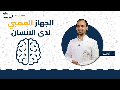 الجهاز العصبي لدى الإنسان الصف التاسع العلوم أ نزار زرزور منصة لبيب التعليمية