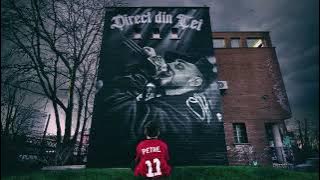 Petre Stefan - Cateodata ( Visual)