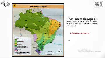 O que modifica o clima na floresta?