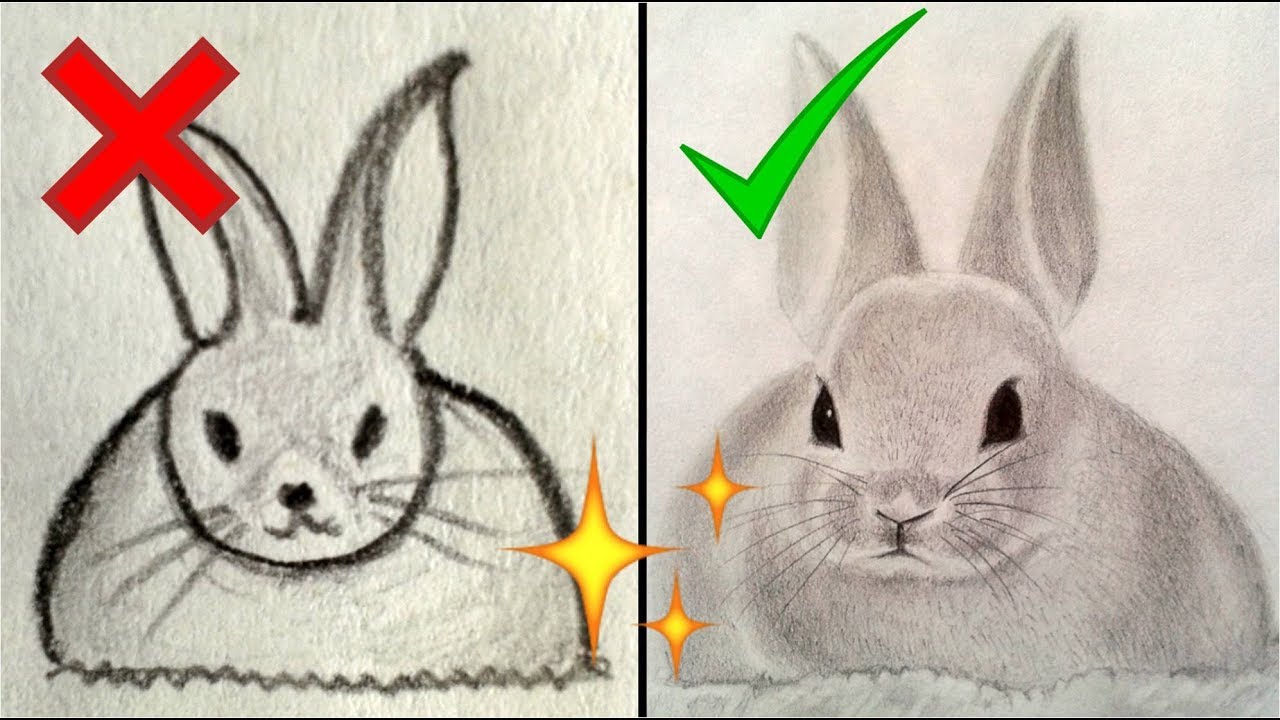 Cómo dibujar un Conejo - Dibujos de conejos | How to Draw a Bunny Tutorial  - YouTube