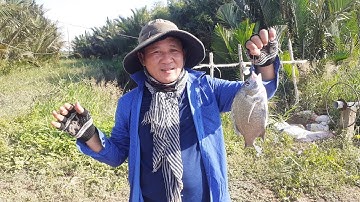 Về gò công đông câu cá... dính toàn cá to..Trời ơi nó phê......