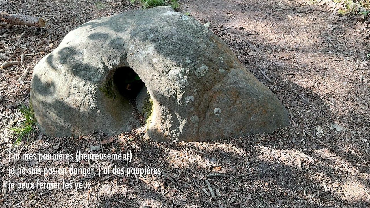 comme cousus au sol | gracia bejjani