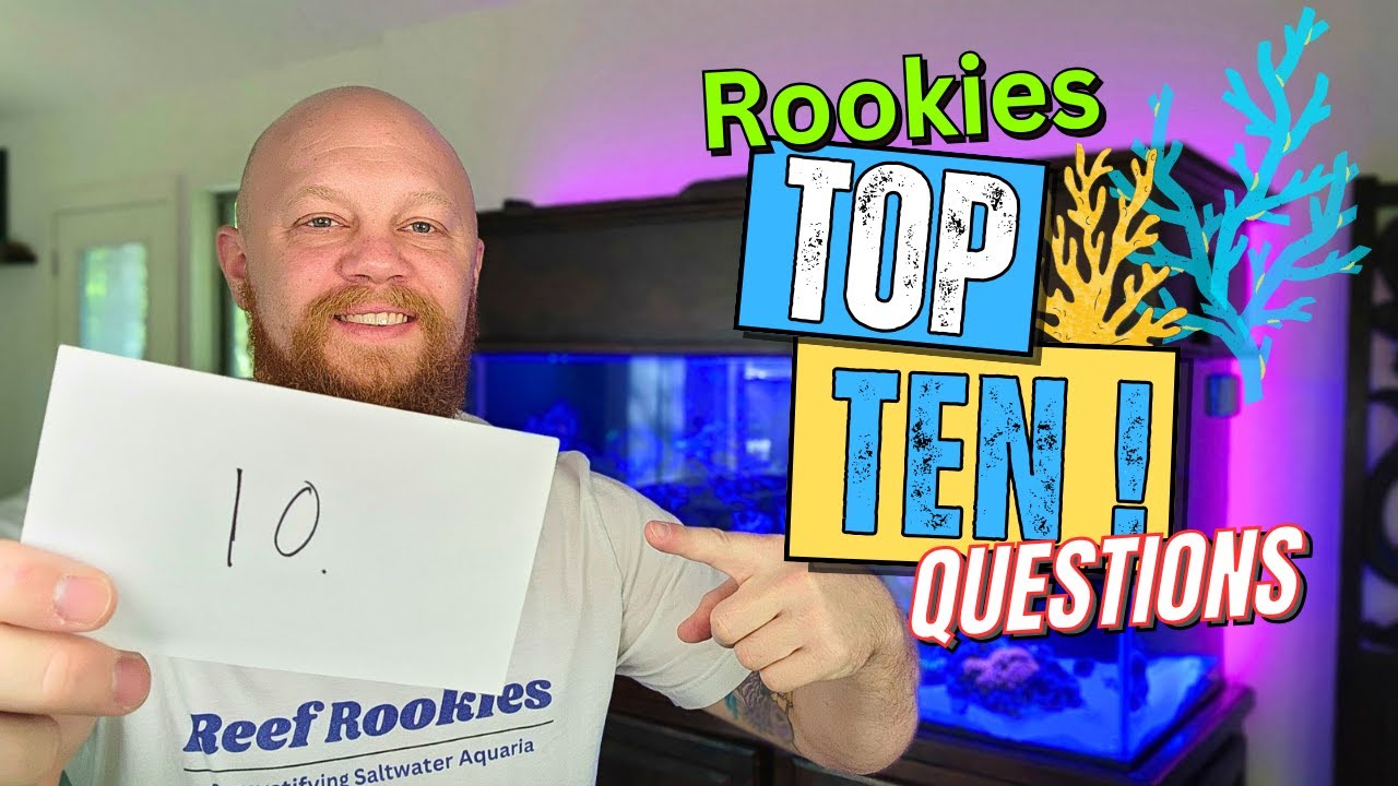 What to know before starting a saltwater aquarium as a beginner: Top 10 ...