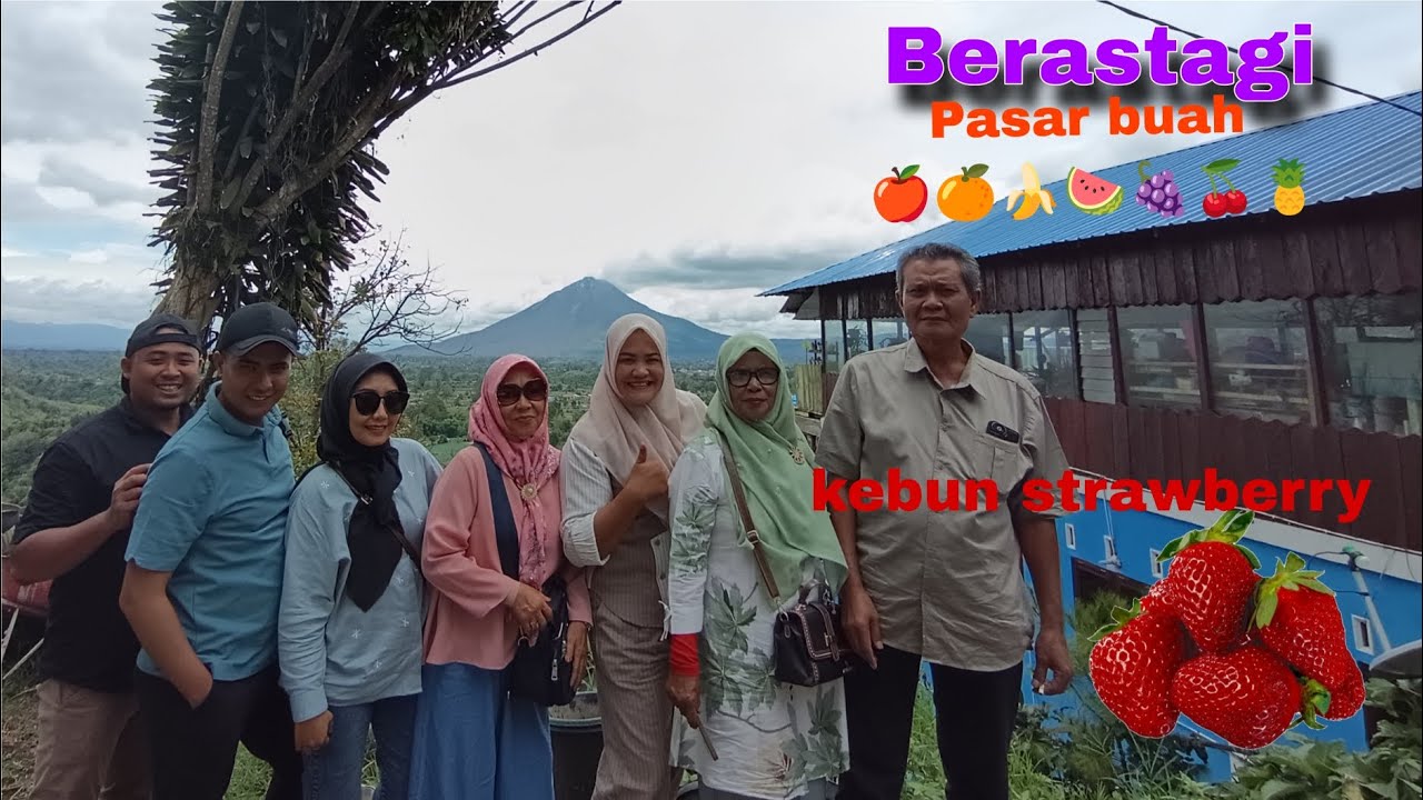 KE BERASTAGI BARENG KELUARGA BESAR.. Kebun strawberry buahnya gak ada 😂