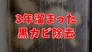 黒カビ取りにおすすめ！カビ強力除去スプレー カビホワイトを使ってみた