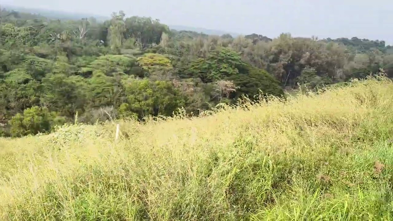 Aliyar is a scenic village near Pollachi in Coimbatore district, Tamil Nadu.       