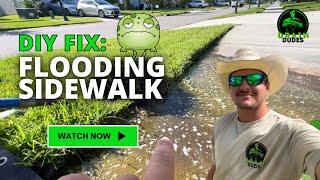 The MOST COMMON Drainage Issue | DIY Fix | Flooding Sidewalk
