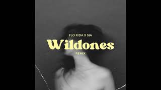 Flo Rida - Wild ones ft. Sia - (Zympox Remix)