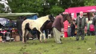 The Spancilhill Horse Fair