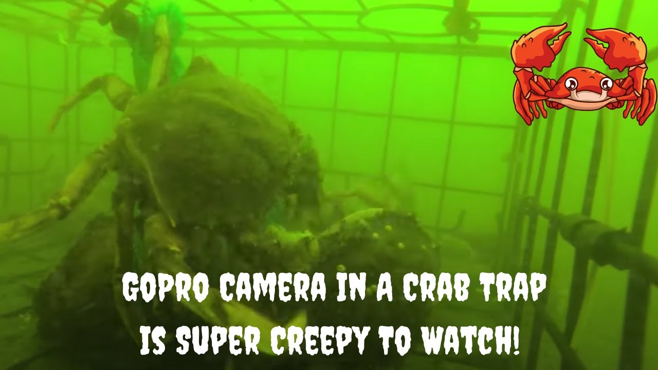 Crab Trap Underwater GoPro Camera 