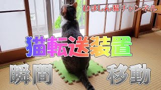 【しんのすけ】猫転送装置（猫ホイホイ）で瞬間移動に成功しました！！ screenshot 3