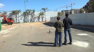 My first good hover - Trex 500E