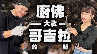 我有個靈感！就來把鱷魚做成精緻法餐料理吧！｜Fred吃上癮 by Fred吃上癮 49,614 views 1 month ago 8 minutes, 54 seconds