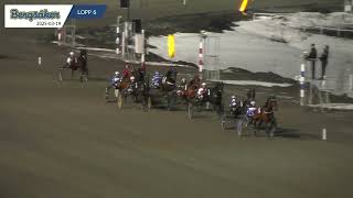 Vidéo de la course PMU SKYLTPARTNERLOPPET - STOLOPP