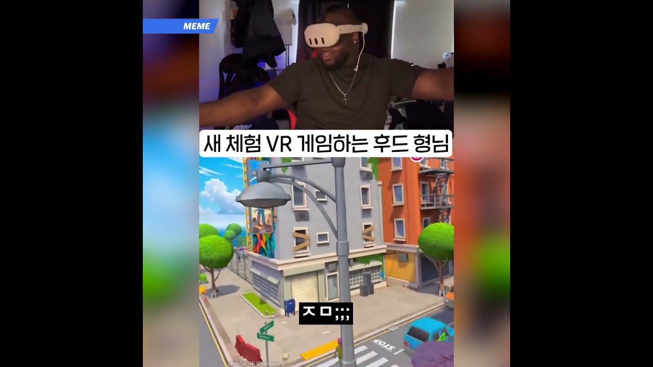 새 체험 VR게임 (후드)