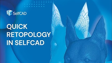 Remesh Tool: How To Fix Geometry