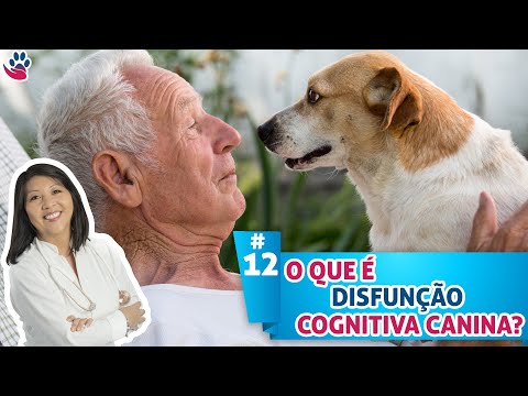 Vídeo: Reconhecendo A Disfunção Cognitiva Canina