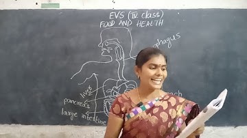 4th class EVS FOOD AND HEALTH part-3
