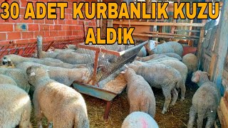 30 ADET KURBANLIK KUZU ALDIK~2024 KURBANLIK KUZU FİYATLARI~SATIŞLAR BAŞLADI.