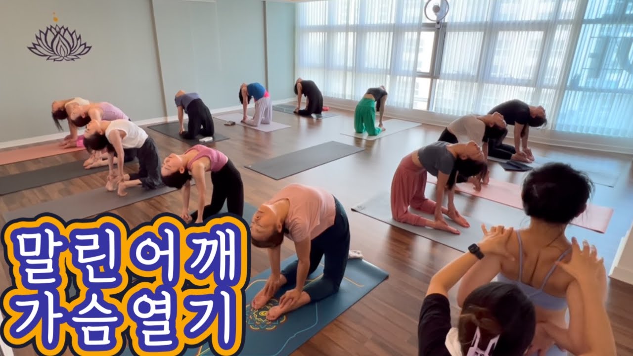 [엔젤요가] 말린어깨 굽은등에 좋은 우스트라사나