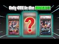 GRAILS in the Mail – Only 1 IN EXISTENCE!!! One Piece TCG Mail Day