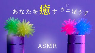 【ASMR】あなたを癒すウニぼうず／Relax Tingle【NoTalking】