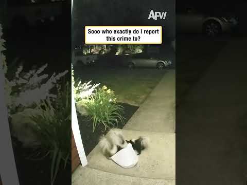 Sooo who exactly do I report this crime to?