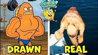 Spongebob Characters In Real Life Net Worth