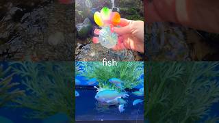 Toy Learning Fun | Kids Learn Sea Animal Names at the Waterfall: Fish Squid Lionfish Seal Eel